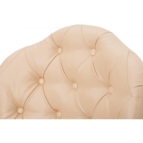 Маникюрное кресло для клиента "Pansies"