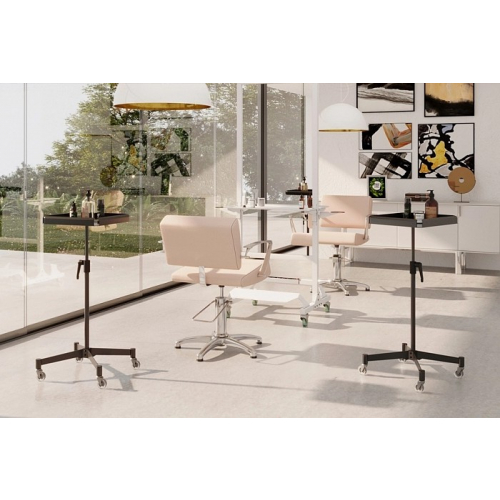 Ассистент колориста "NA0057"